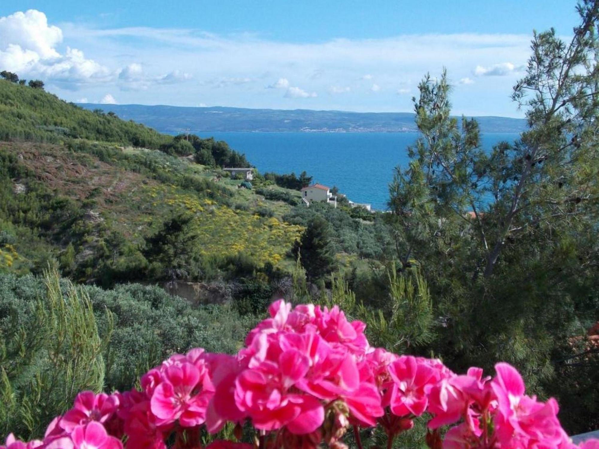 Apartments Bandalo Ποντστράνα Δωμάτιο φωτογραφία